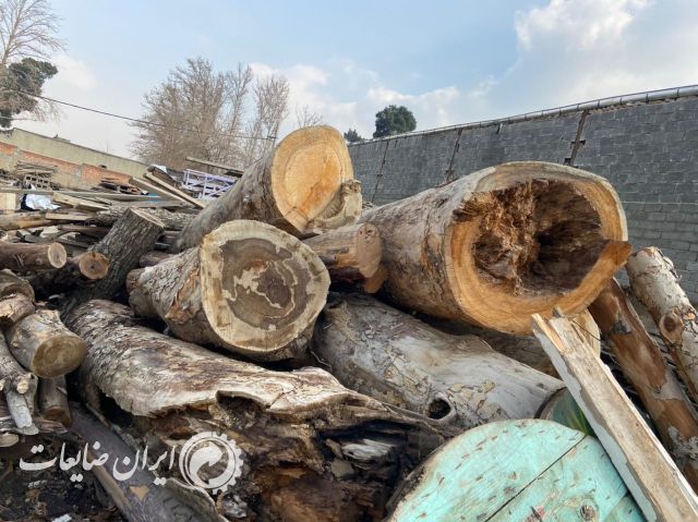 فروش انواع چوب وتخته