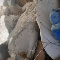 فروش کلوخه شرکتی‌ پت