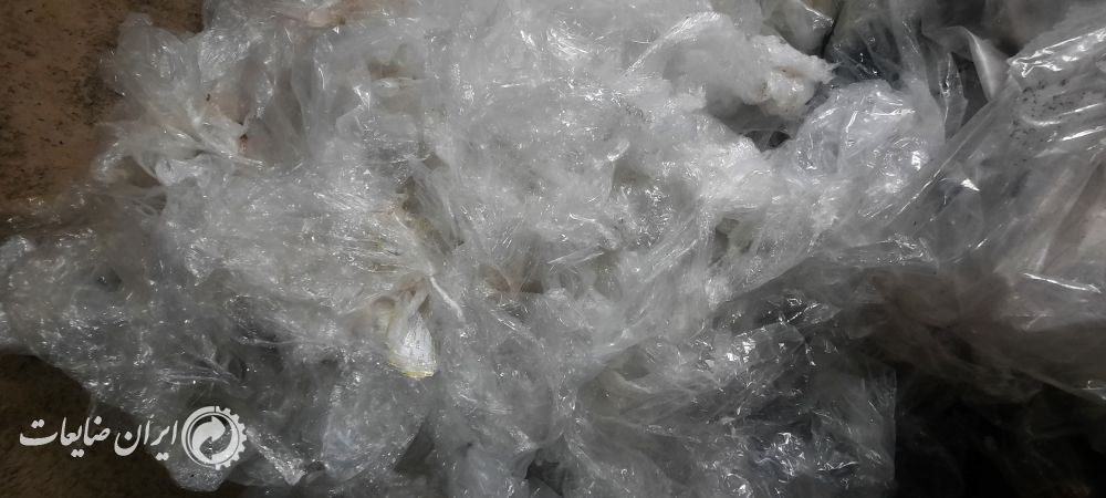 خریدار نایلون فروشگاهی و شرکتی به هر مقدار درشهریار