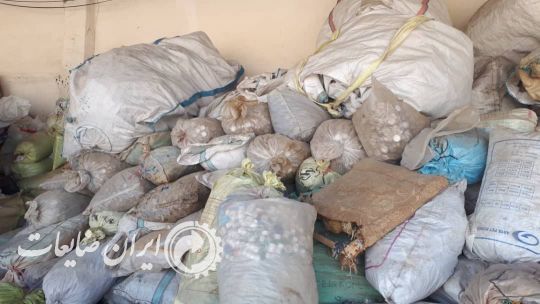 سفره یکبار مصرف