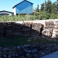 فروش پالت چوبی سایز 95 در 110