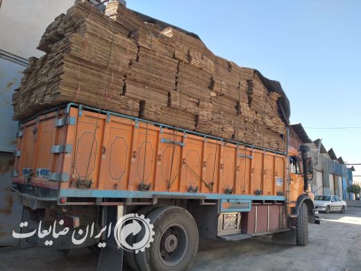 فروش کارتن موزی بزرگ کوچک کلی و جزئی