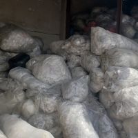 نایلون کِشی دور پالتی