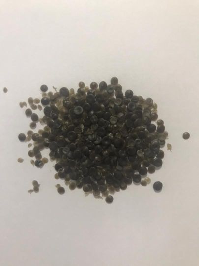 انواع مواد گرانول