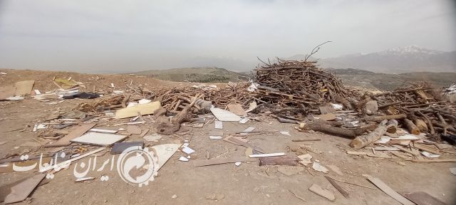 فروش ضایعات چوب