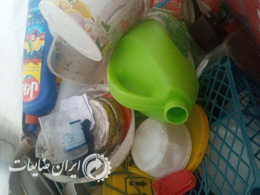 فروش بار لاک زنده