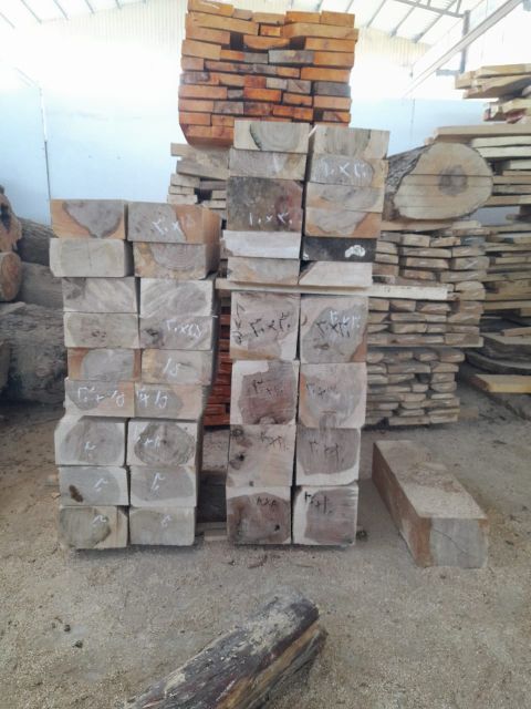 فروش چوب الوار توسکا و جنگلی