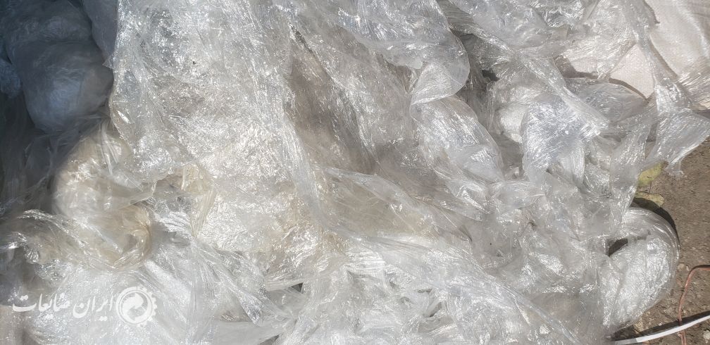 نایلون کِشی دور پالتی