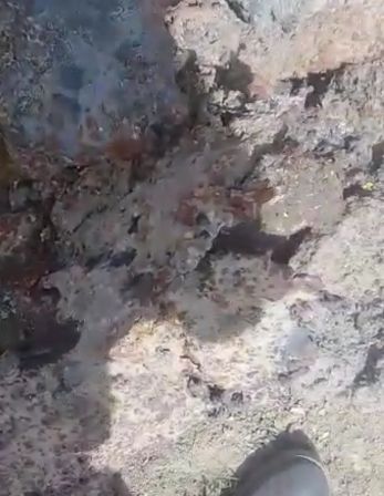 فروش شلاکه ۲۰۰ تن
