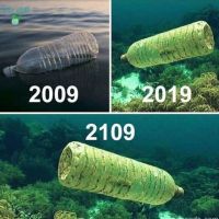 پرک آسیابشور چهار رنگ و بیرنگ
