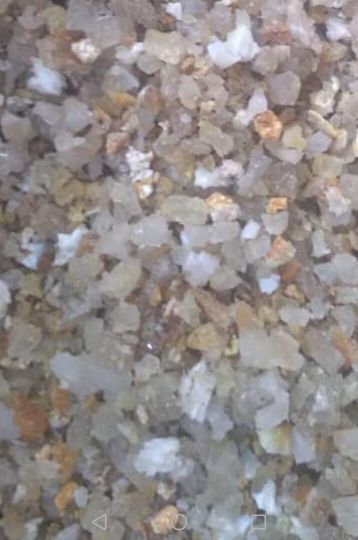 گرانول و ضایعات pbr1220 شازند