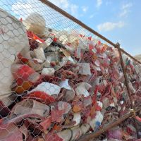 دگالن زنده بار