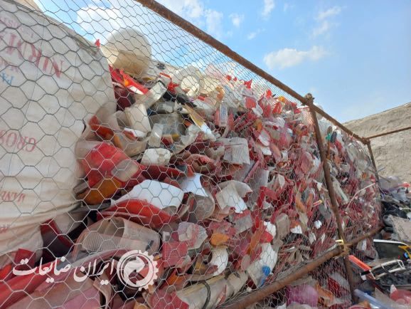 دگالن زنده بار