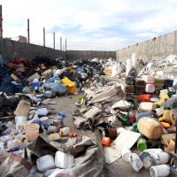 خریدلاک درشت وبادی