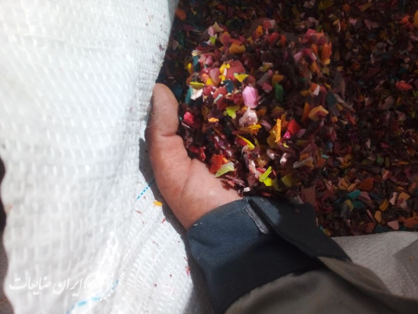 اسیابی سبد سفید بادی