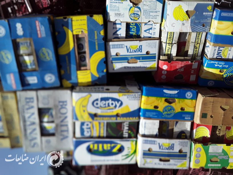 فروش کارتن موز در هم