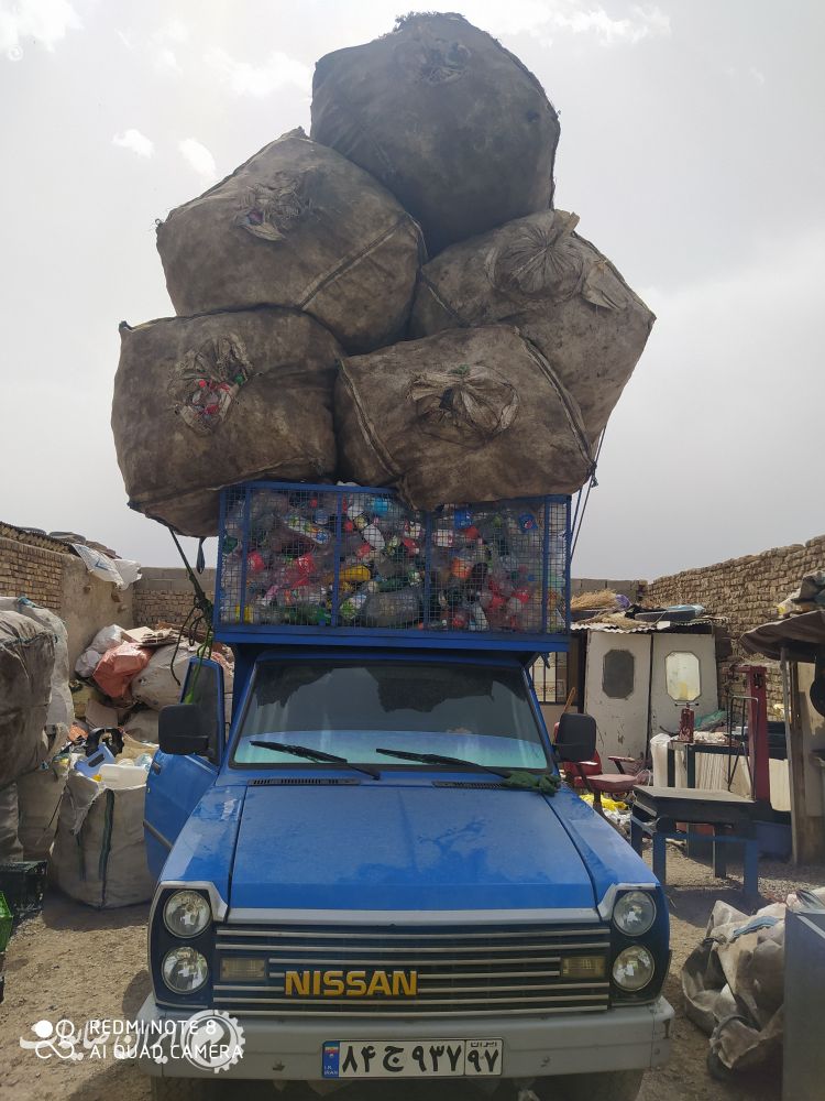 خریدار پت زنده