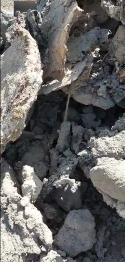 فروش شلاکه