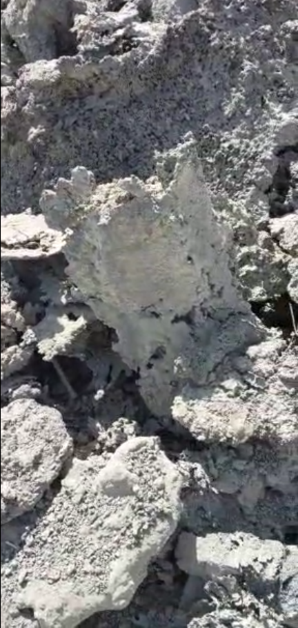 فروش شلاکه