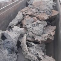 فروش خرسک درجه یک و عالی