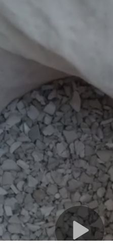 آسیابی پلیکا طوسی