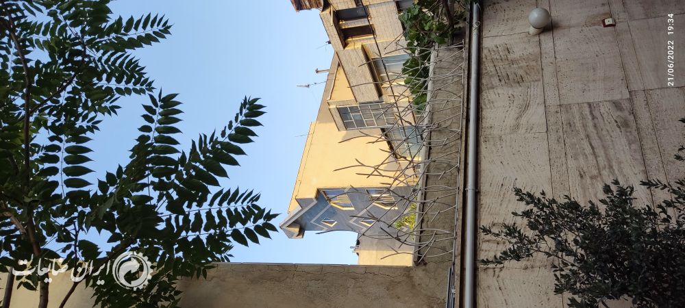 حفاظ شاخ گورنی