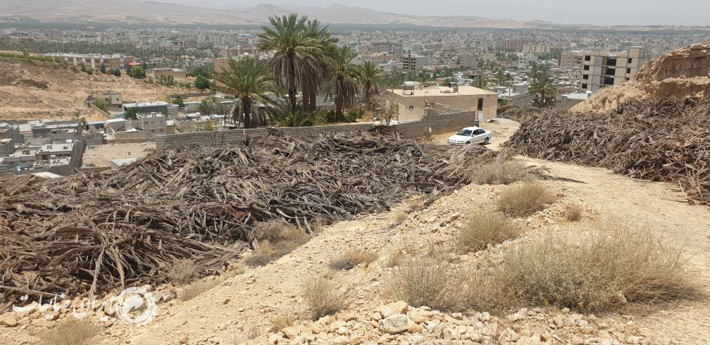 فروش ضایعات چوب نخل(برگ کامل نخل)