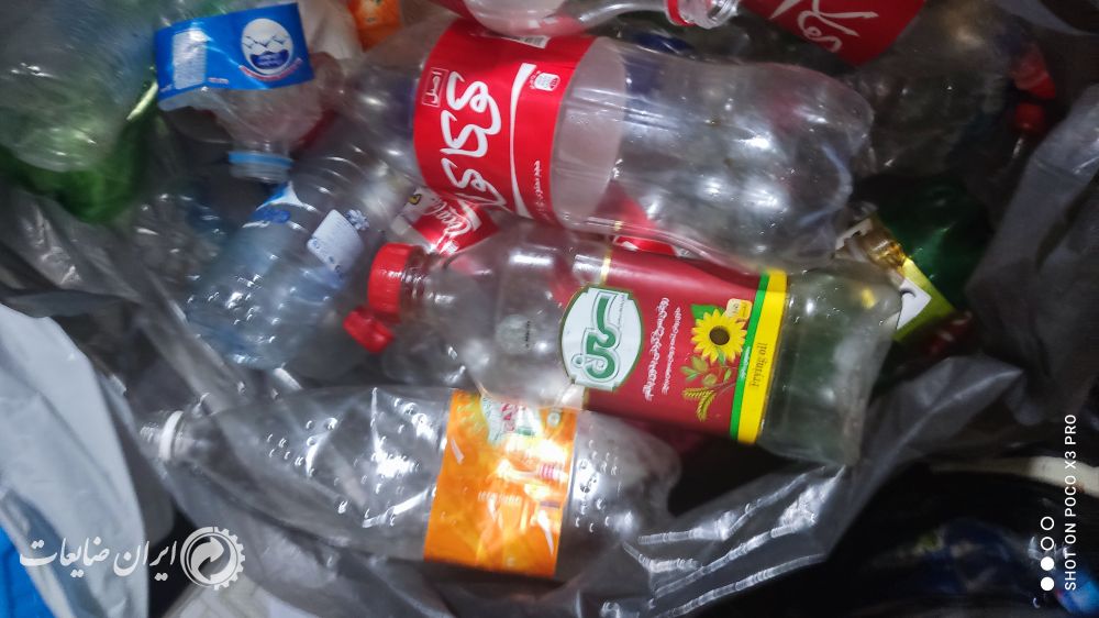 پت زنده درجه یک
