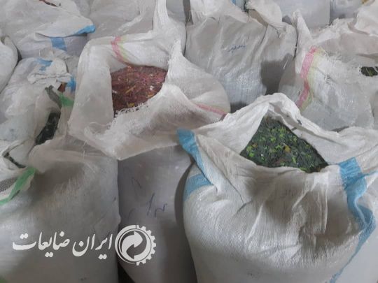 جنس اسیابی سبد