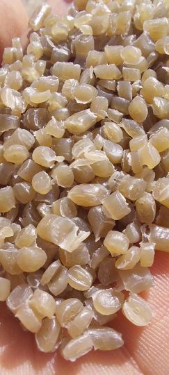 هاش 020 عسلی