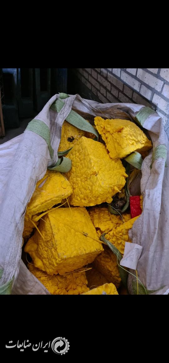 کلوخه تزریقی وبادی