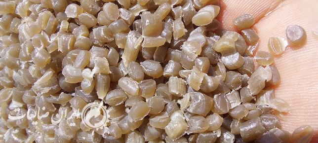 هاش عسلی تیره یک