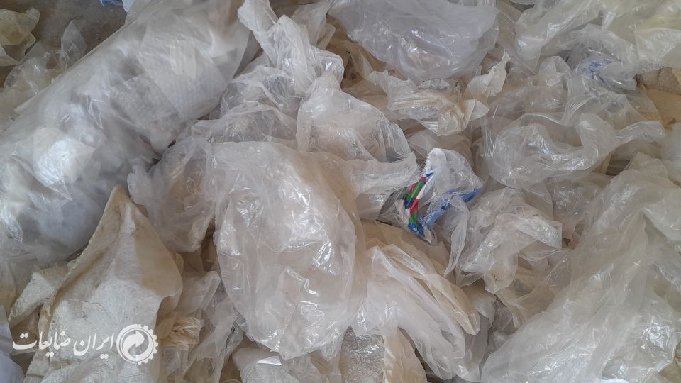 فروش مشما پالت