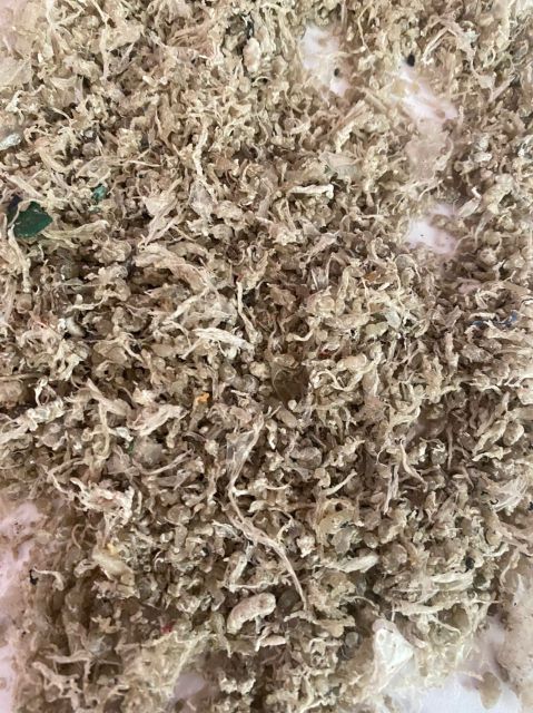 کندری نایلون