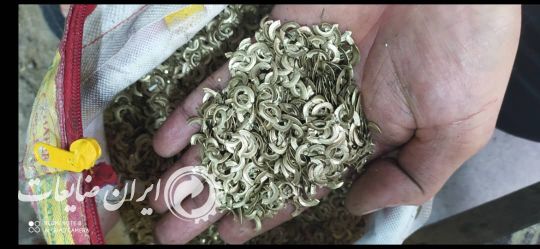 برنج زردبار