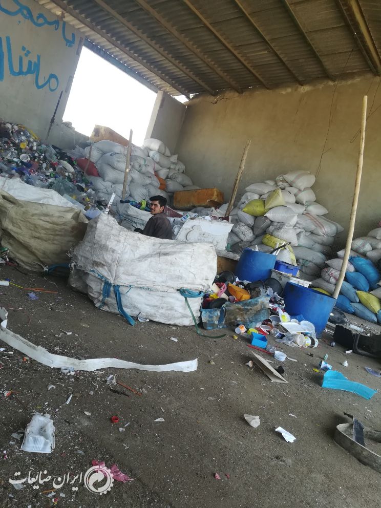 لاک خرد شده شیری اسیابی
