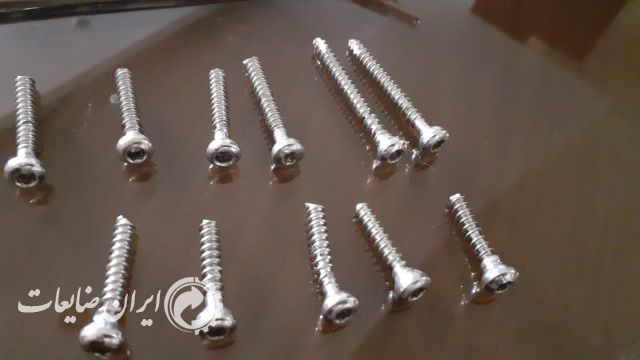 پلاتین پا همراه با پیچ