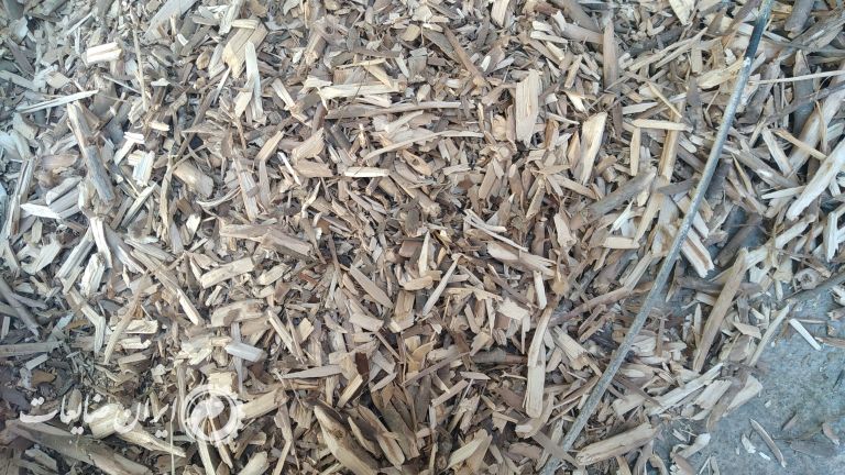 فروش چیپر چوب سرشاخه
