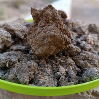 فروش ضایعات کنجدی