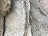 قلبمه اکسیدوری هاش