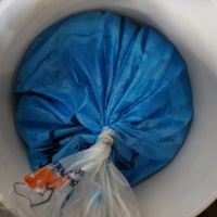فروش 8تن رنگ استخر ابی