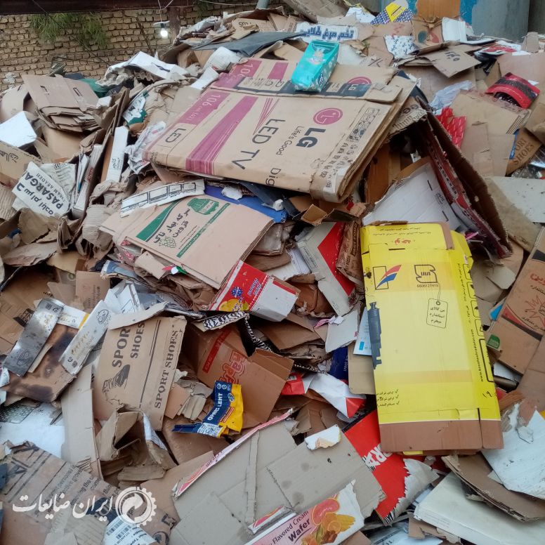 خرید کارتن درجه یک ودو