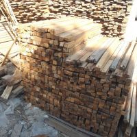 فروش چوب کبود و روسی و چوب پالتی