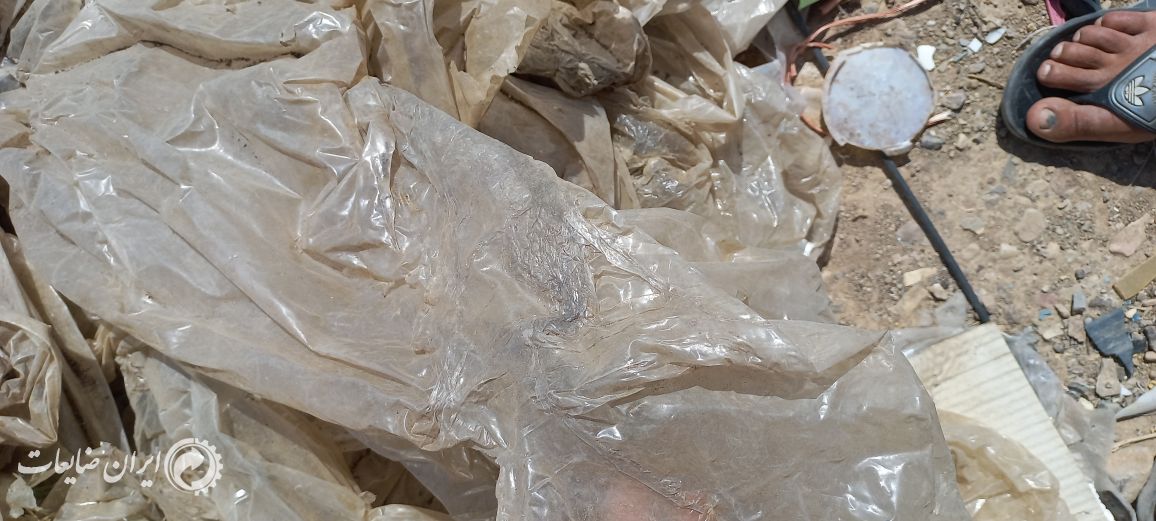 فروش نایلون رنگ عسلی