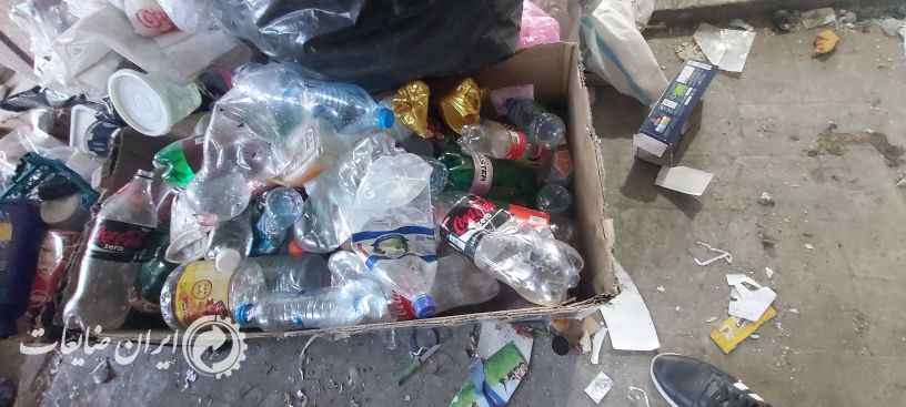 خریدار پت حبیبی