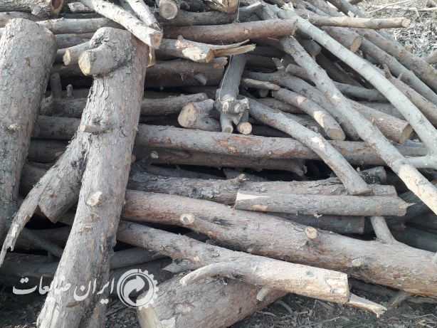 خرید ضایعات چوب