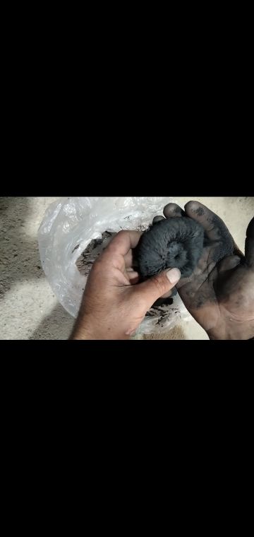 براده آهن و آهن سبک وسنگین